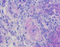//jjrorwxhrkjnlr5q-static.micyjz.com/cloud/ljBpjKnjlkSRqimpqmmoim/G1047-100ML-60-60.jpg